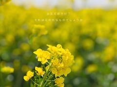 -西海岸生态观光园