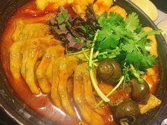 -老表记广西宵夜螺蛳鸭脚煲(西大店)