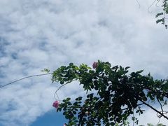 -小仙居·农家宴烤羊· 农庄
