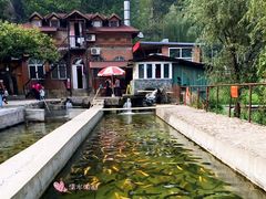 养虹鳟鱼的鱼塘-北京水岸山吧度假村(雁栖镇店)