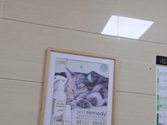 -北京观赏动物医院·24小时大型综合·猫专科·异宠专科