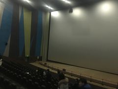 -天幕新彩云国际影城(激光巨幕店)