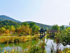 -石塘人家