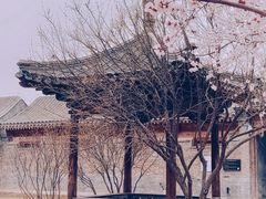 -三里河公园