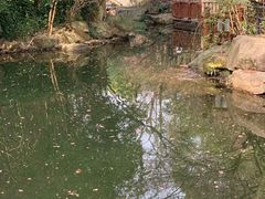 -银都名墅