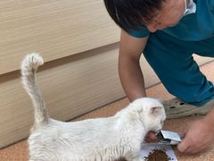 -宠颐生中康贝怡动物医院