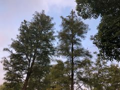-尚贤河湿地