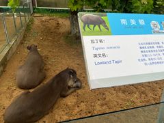 -西霞口神雕山野生动物世界