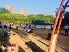 -青枫公园