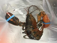 -盒马鲜生(曜一城店)