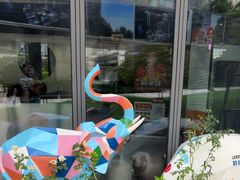 -花环泰拳·勒德斯拉泰拳馆(静安店)