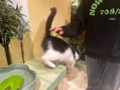 -萤火虫咖啡(后海店)