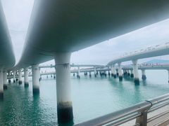 -演武大桥观景平台