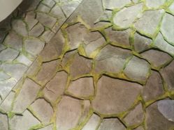 -卡通尼·Safari非洲探索乐园·生日会(金桥国际商业广场店)