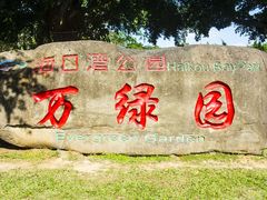 -万绿园