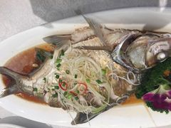 -田园小观园(武大店)