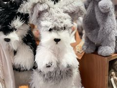 -深圳湾万象城(南山店)