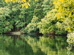 -上海共青森林公园