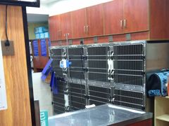 -安安宠医宠物医院·异宠·犬猫内科(岳阳分院)