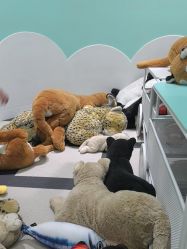 -奈尔宝·儿童乐园·亲子餐厅(苏州大悦城店)