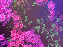 -三号码头罗氏虾小馆