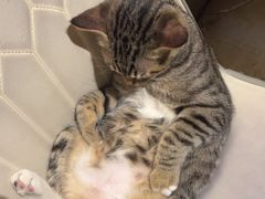 -逃脱反斗城沉浸剧情密室(北京路店)