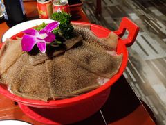 -黄家码头老火锅(解放碑旗舰店)