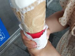 -蜜雪冰城·冰激凌与茶(瑞安吾悦店)