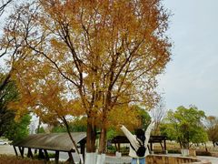 -盘龙城国家考古遗址公园