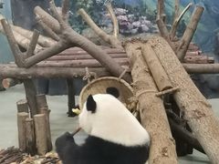 -怪老头甜不辣(抚琴小区店)
