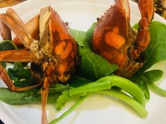 -聪辉同安老美食饭店(大元路店)