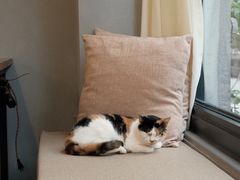 -转山咖啡(松柏社区店)