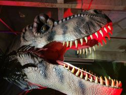 -恐龙探索乐园(磁器口店)