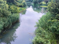 -洋湖国家湿地公园