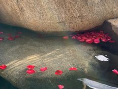 -七彩云南古滇温泉山庄