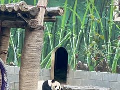 -南昌动物园