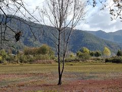 -泸沽湖国家级风景名胜区走婚桥