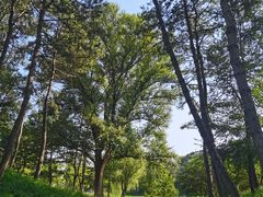 -承德避暑山庄景区