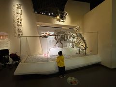 -国家自然博物馆