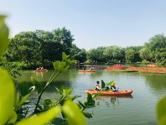 -西溪国家湿地公园