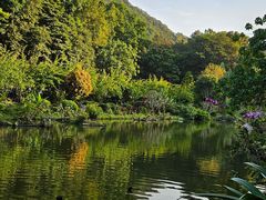 -深圳仙湖植物园