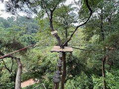 -芦仙山景区-飞越丛林探险乐园