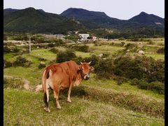 -大姆山草场