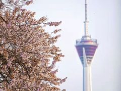 -红星桥(地铁站)