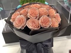 -ROSEONLY诺誓(广州K11店)