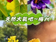 -神光山国家森林公园