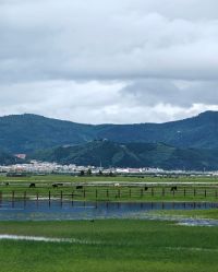 -纳帕海依拉草原