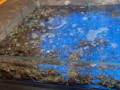 -徐记海鲜·宴会(大唐西市|丰庆店)