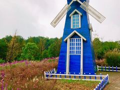 -铁山坪森林公园