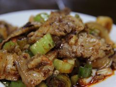 -天一沾水肥肠(科园一街店)